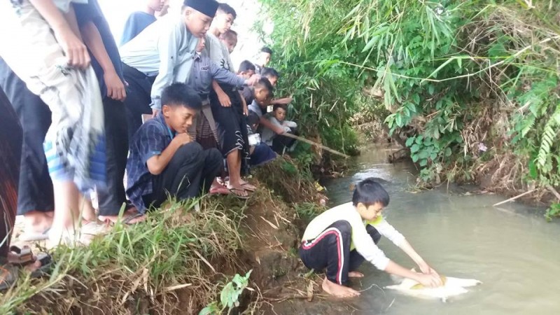 Penemuan penyu