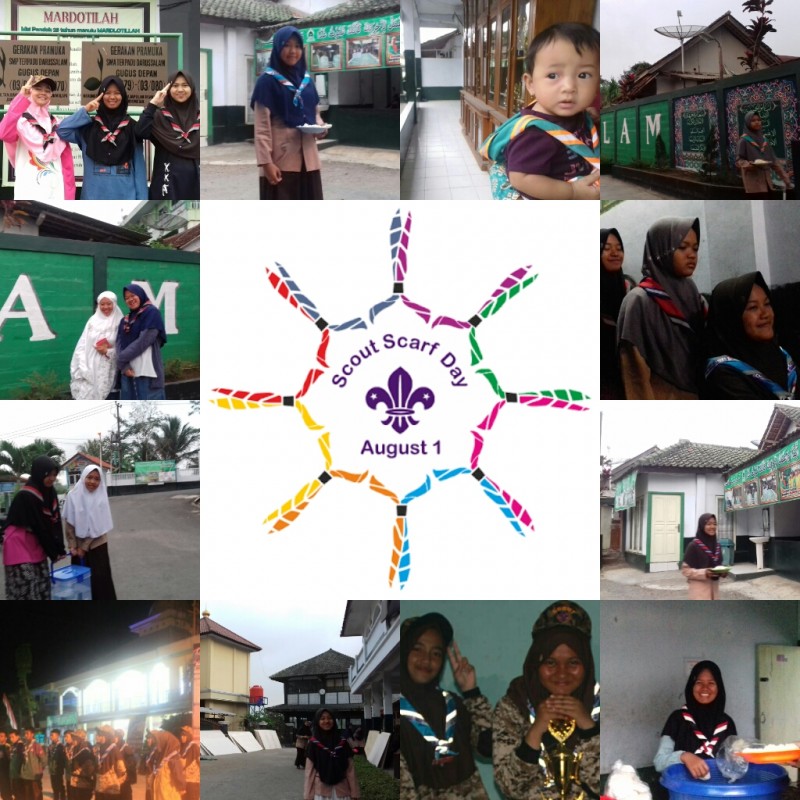 scout scraft day